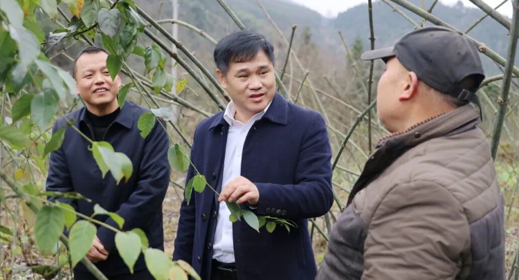 覃歇民到双江镇调研
