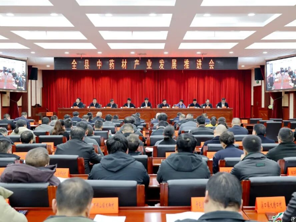 “十五五”开好局起好步丨全县中药材产业发展推进会召开