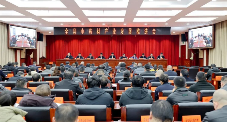 “十五五”开好局起好步丨全县中药材产业发展推进会召开