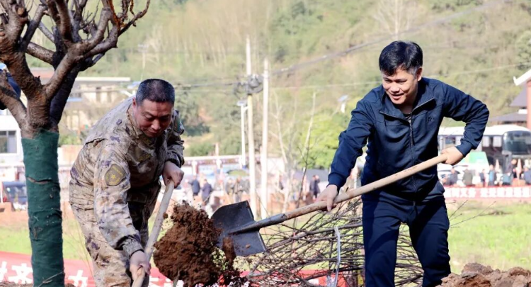 2026年全县集中义务植树活动举行