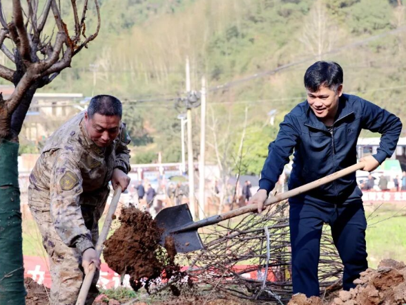2026年全县集中义务植树活动举行