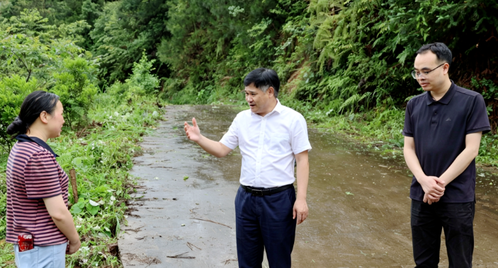 覃歇民督导检查防汛备汛和安全生产工作