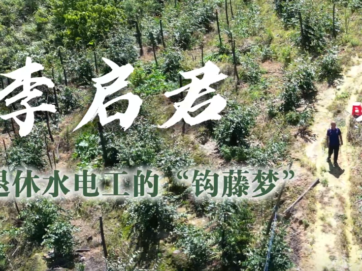 通道人说通道事 | 李启君
