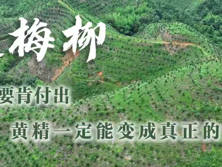 通道人说通道事 | 吴梅柳