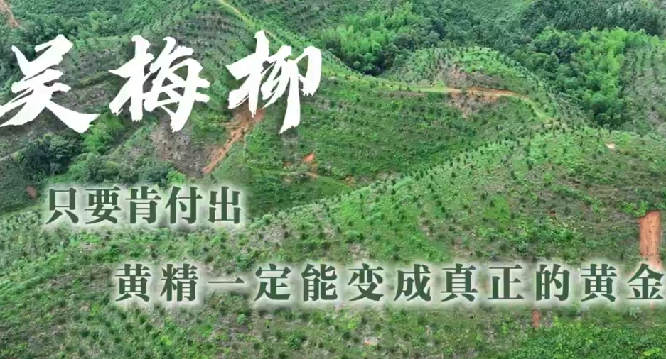 通道人说通道事 | 吴梅柳