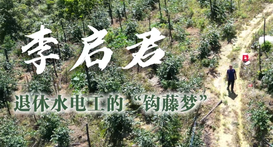 通道人说通道事 | 李启君