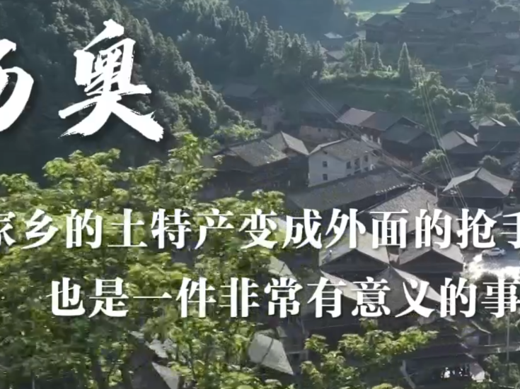 通道人说通道事 | 杨奥