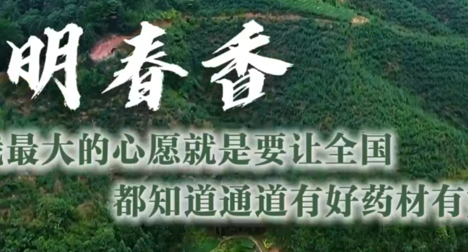 通道人说通道事 |明春香