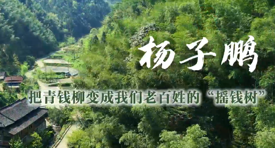 通道人说通道事 | 杨子鹏