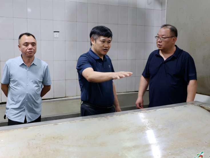 覃歇民开展“企业服务年”走访调研并督导安全生产工作