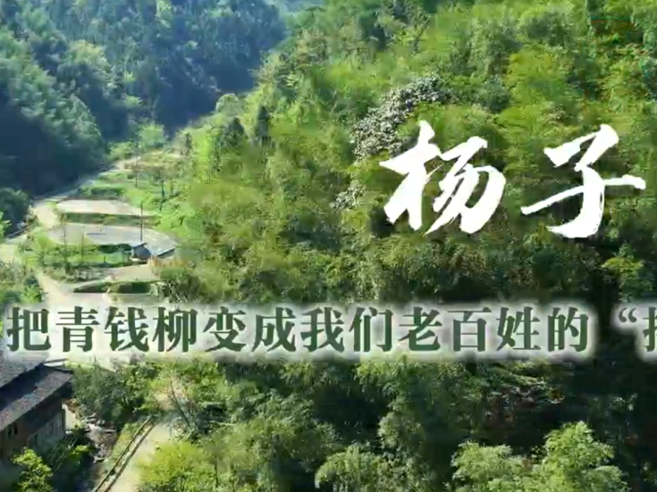 通道人说通道事 | 杨子鹏