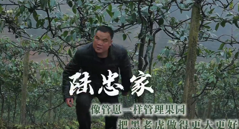 通道人说通道事 | 陆忠家