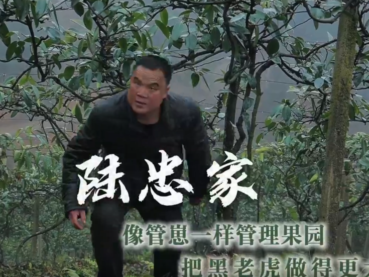 通道人说通道事 | 陆忠家