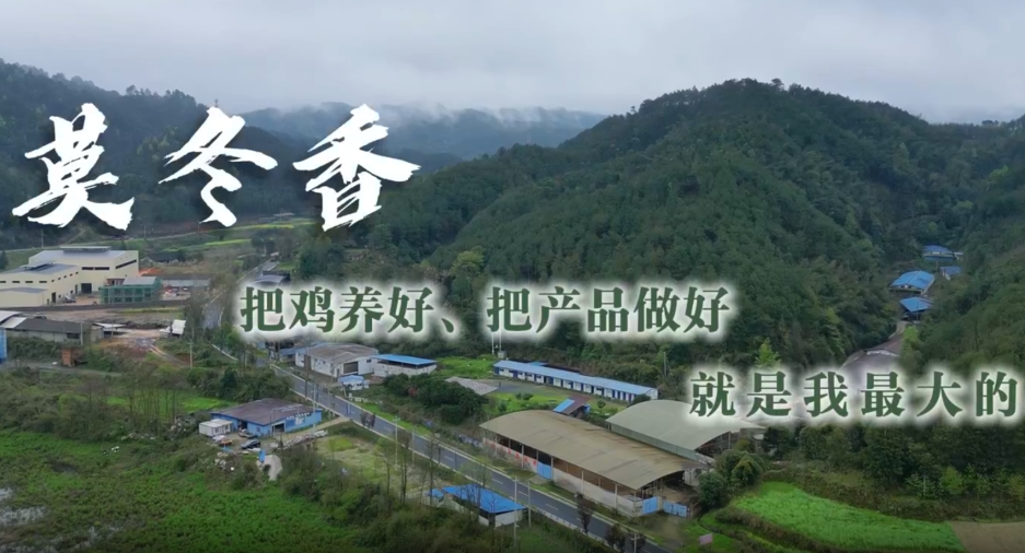 通道人说通道事 | 莫冬香
