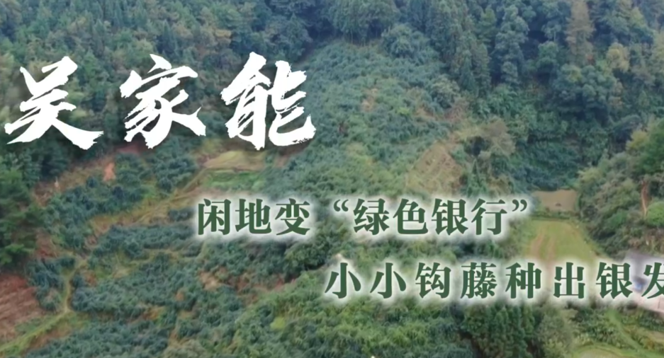 通道人说通道事丨吴家能