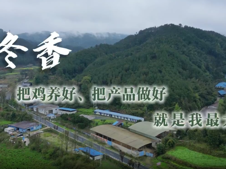 通道人说通道事 | 莫冬香