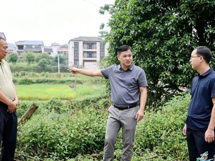 覃歇民调度S341通道县双江至独坡（牙屯堡至独坡段）公路项目建设工作