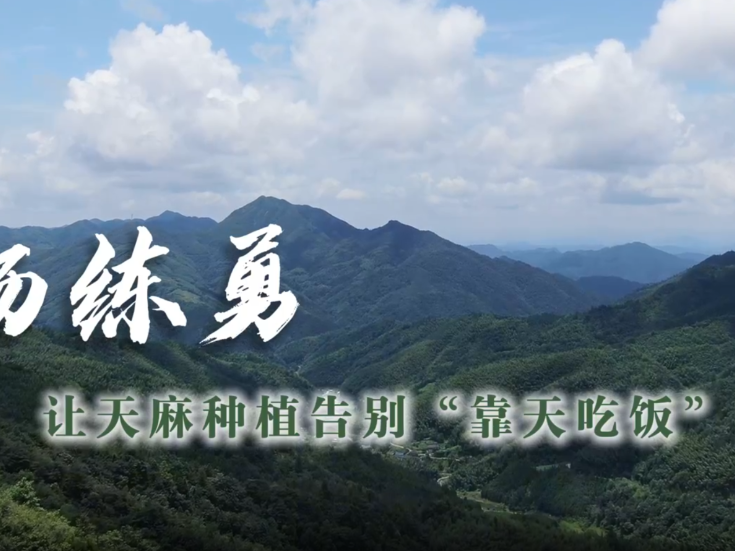 通道人说通道事丨杨练勇