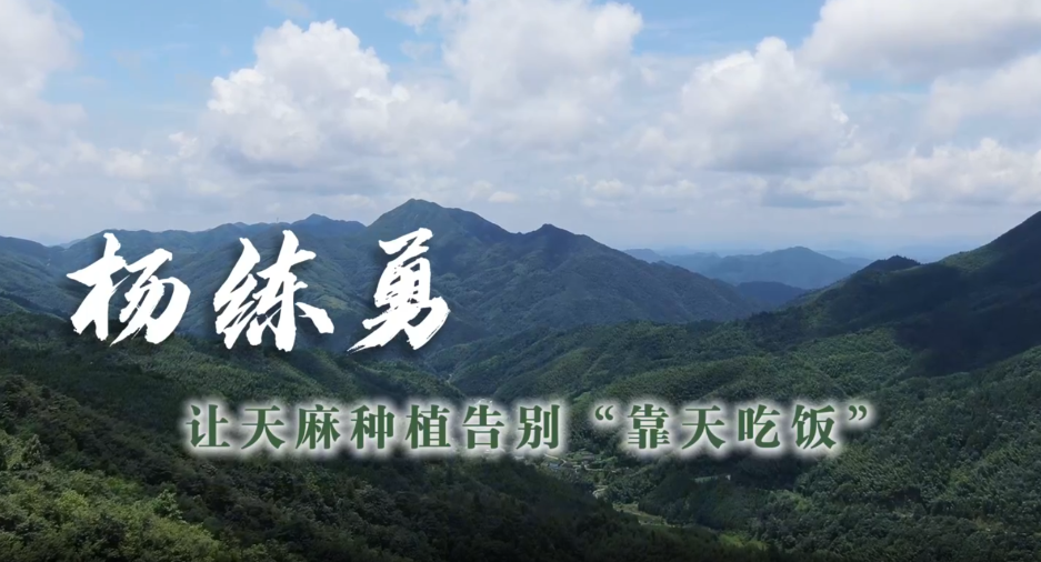 通道人说通道事丨杨练勇
