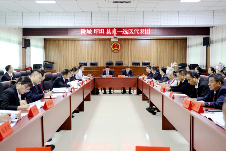 聚焦两会丨履职建言促发展  县人大代表分团审议各项报告