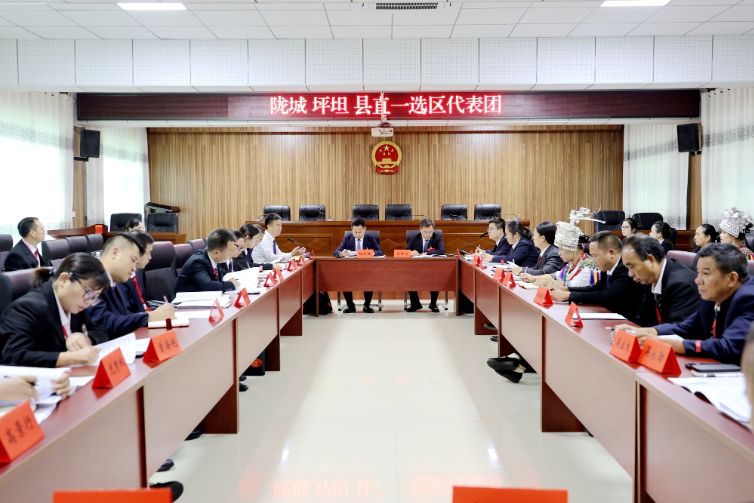 聚焦两会丨履职建言促发展  县人大代表分团审议各项报告