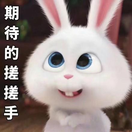 期待.jpeg