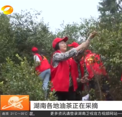 常宁又上湖南卫视啦！