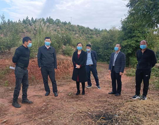 简讯丨市领导到柏坊镇开展巡林工作