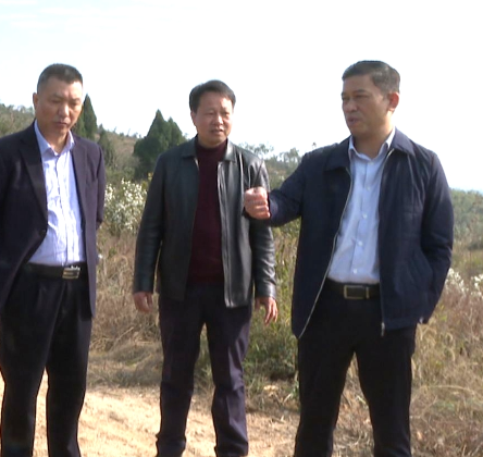 【视频】市领导到官岭镇虾塘村开展巡林工作