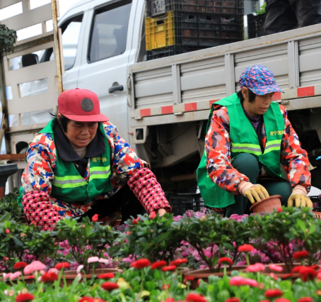 【新春走基层】喜迎新春!5万余盆鲜花扮靓宜城