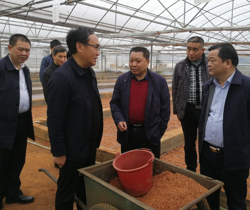 吴乐胜：坚决遏制耕地抛荒 确保粮食产量稳增长