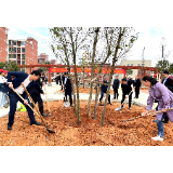 【视频】植树播绿正当时｜吴乐胜 罗卫华等市领导到常宁二中新校区参加义务植树活动