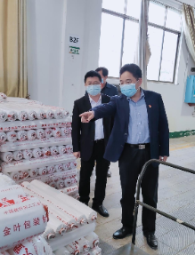 【视频】罗卫华：做大做强烟叶产业 助推乡村振兴