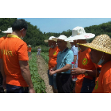 【视频】理念授课+实操培训 常宁推动2.63万亩棉花稳产稳收