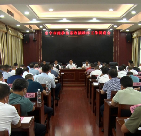 【视频】常宁全力维护好油茶收摘秩序 推动油茶产业做大做强