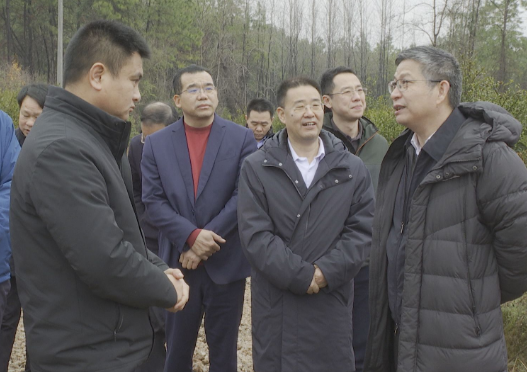 【视频】中国林业集团有限公司副总经理李留彬来常调研国储林建设工作