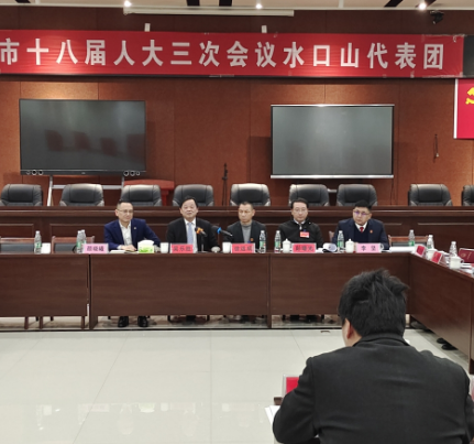 【视频】两会进行时丨吴乐胜参加水口山代表团审议