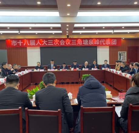 两会进行时丨罗卫华参加三角塘泉峰代表团审议