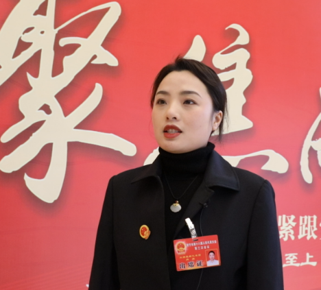 【视频】两会进行时丨代表心声:乘势而上开新篇
