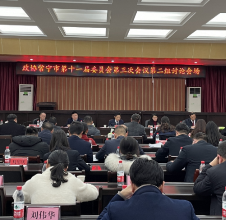 两会进行时丨罗卫华参加政协第二组讨论