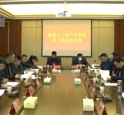 两会进行时丨政协委员分组讨论政府工作报告、政协工作报告和提案工作报告