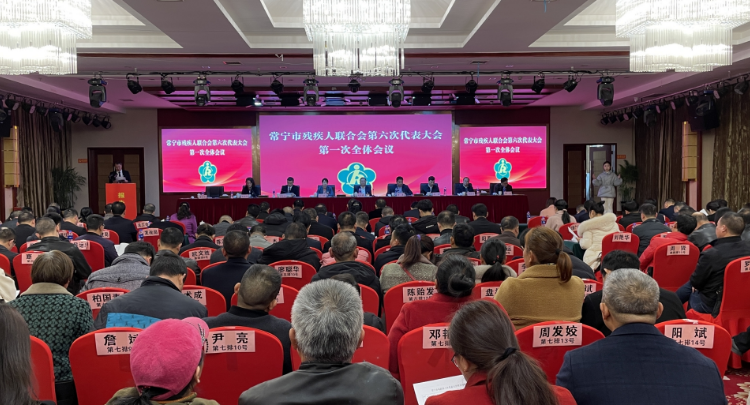 【視頻】市殘疾人聯合會第六次代表大會第一次全體會議召開 吳樂勝出席并講話