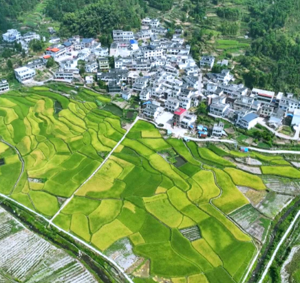 【视频】解读市委经济工作会议精神（四） 在推进乡村振兴上先行示范