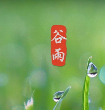 【视频】今日谷雨丨好雨知时节 谷雨话春耕