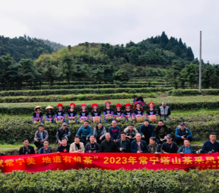 【视频】衡阳市作协、常宁市作协、常宁市摄影家协会到塔山交流采风（内附美图......）