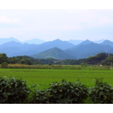 【视频】常宁胜桥镇竹和村：绿色田园 美丽乡村