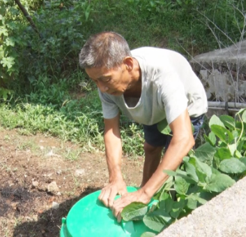 【视频】常宁市洋泉镇西南村垃圾分类减量把厨余垃圾变肥料