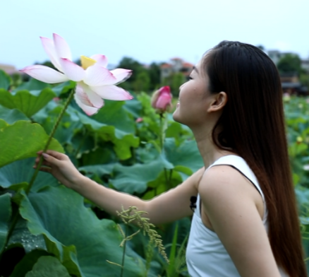 闻香荷花里，食一碗人间烟火（一）