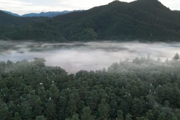 【视频】塔山瑶族乡：白露入秋来 山水画中游