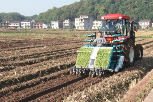 【视频】常宁掀起秋冬种油菜生产热潮